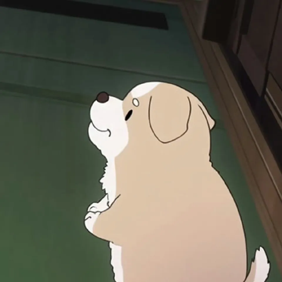 11月21日实时更新：36条可用SSR/V2Ray/Clash节点